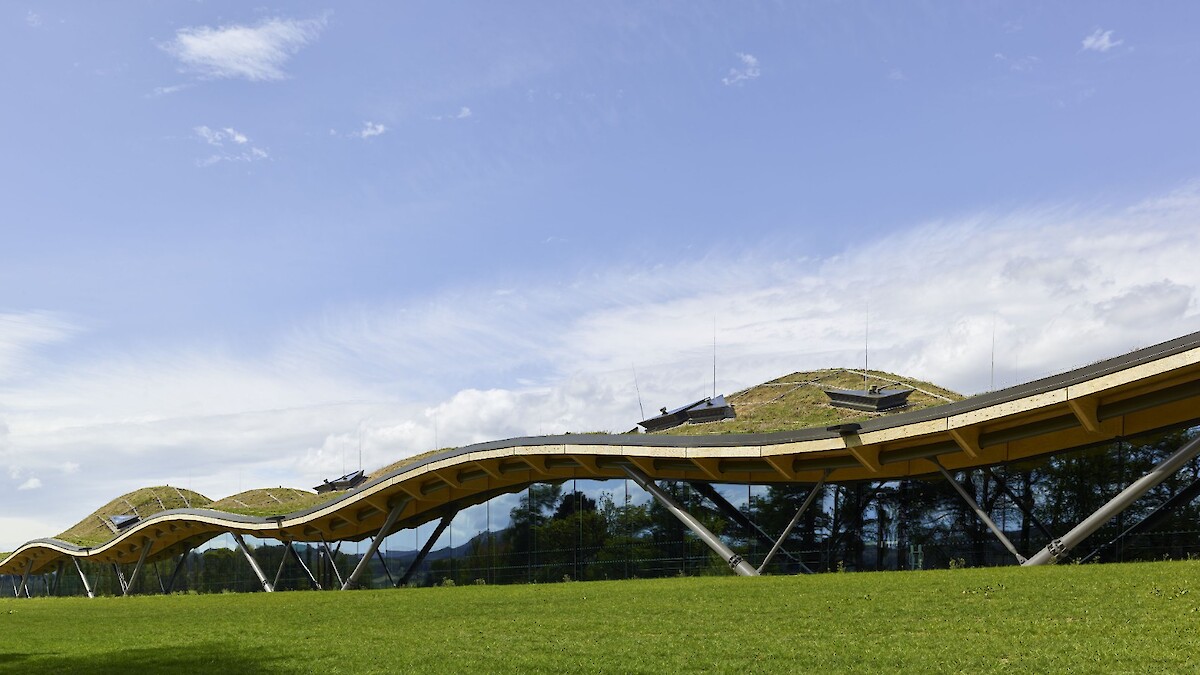 The Macallan Estate