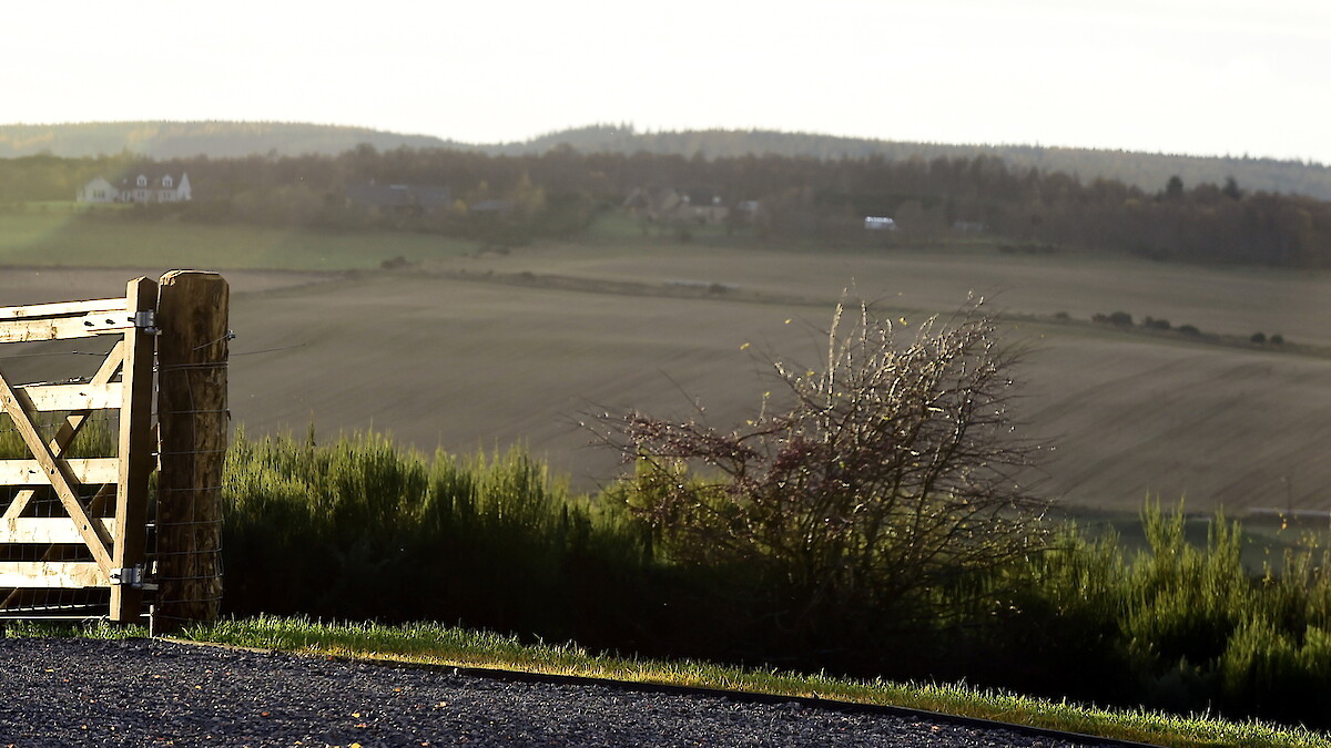 Lilyfield Luxury Self-catering Holiday Home