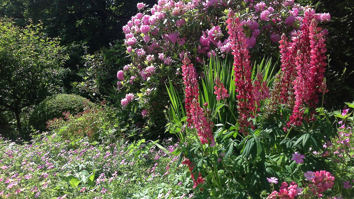Dalvey Gardens