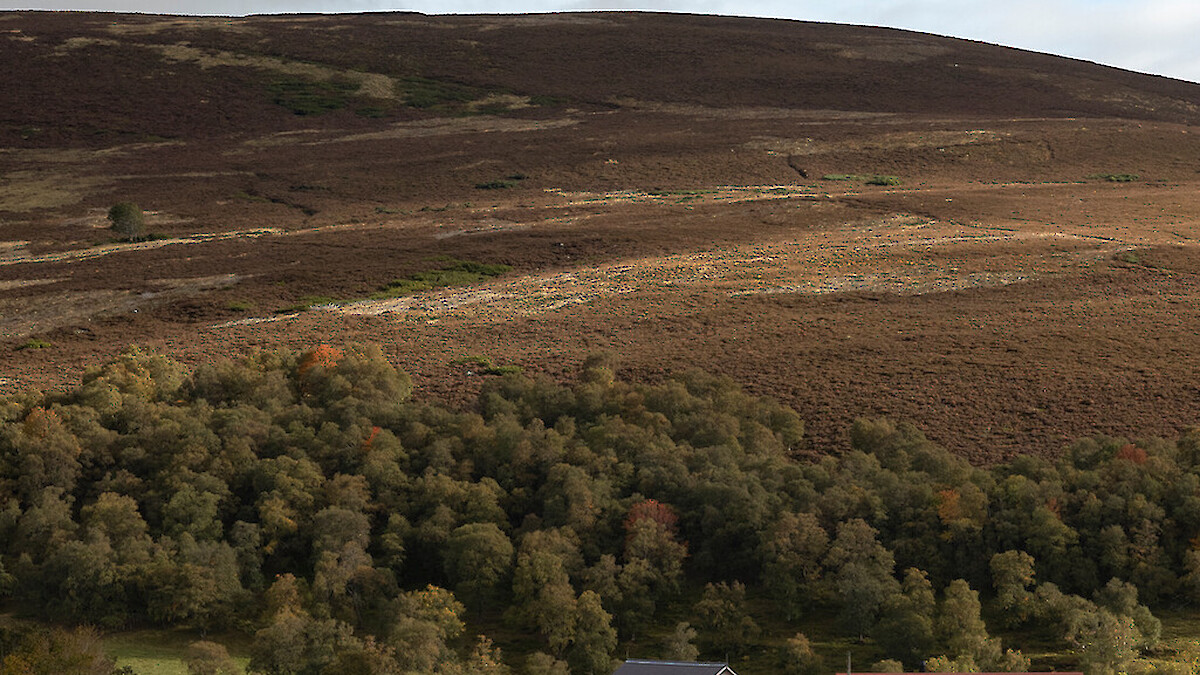 The Cabrach Distillery