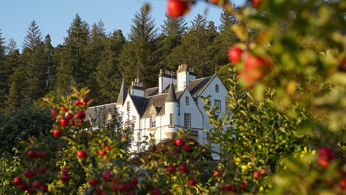 Logie House from Logie House Gardens