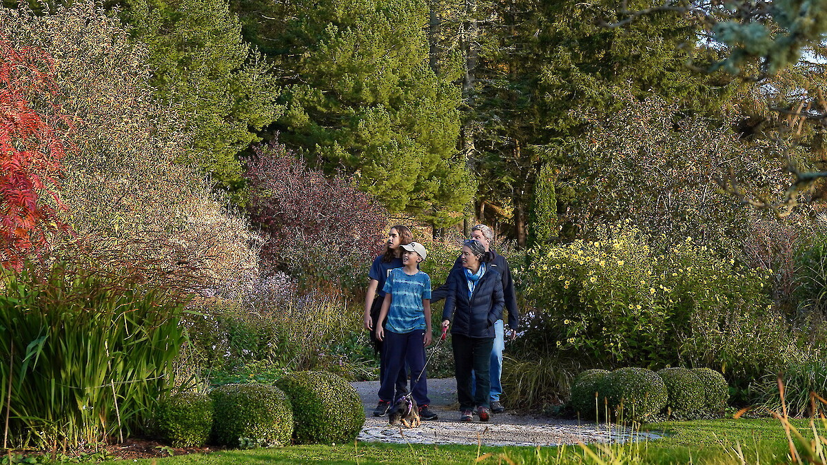 Explore Logie House Gardens